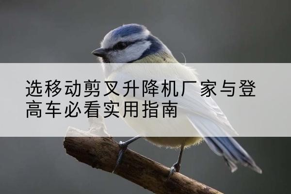 杨浦区电动升降机厂家-选移动剪叉升降机厂家与登高车必看实用指南