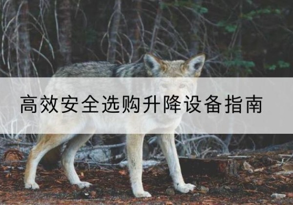 杨浦区升降货梯厂家推荐-*安全选购升降设备指南
