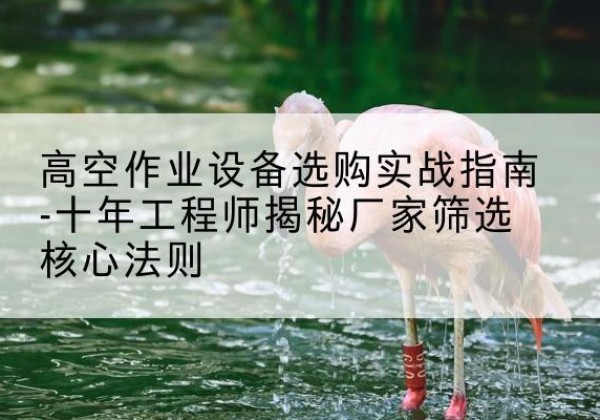 杨浦区剪叉式升降机厂家-高空作业设备选购实战指南-十年工程师揭秘厂家筛选核心法则